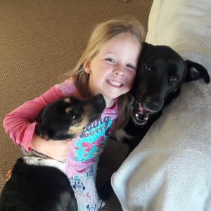 Rescue dogs