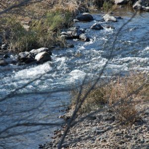 Barkly East, trout stream
