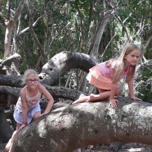 Kirstenbosch